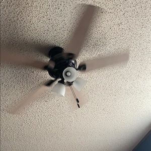 Meet your Posher, Kadie